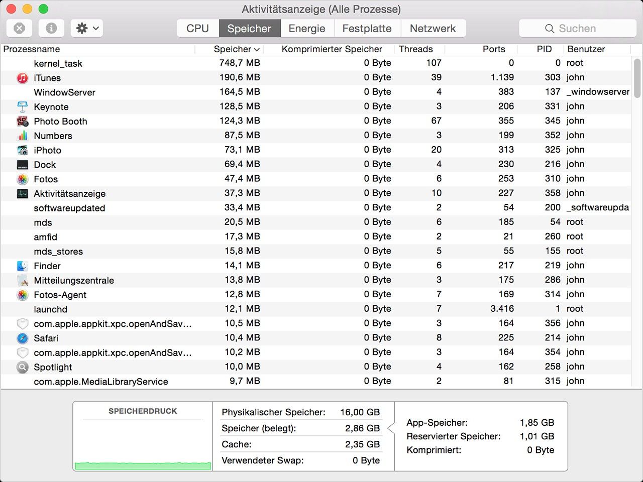 Screenshot des Fensters „Aktivitätsanzeige“ (Meine Prozesse) auf einem Mac