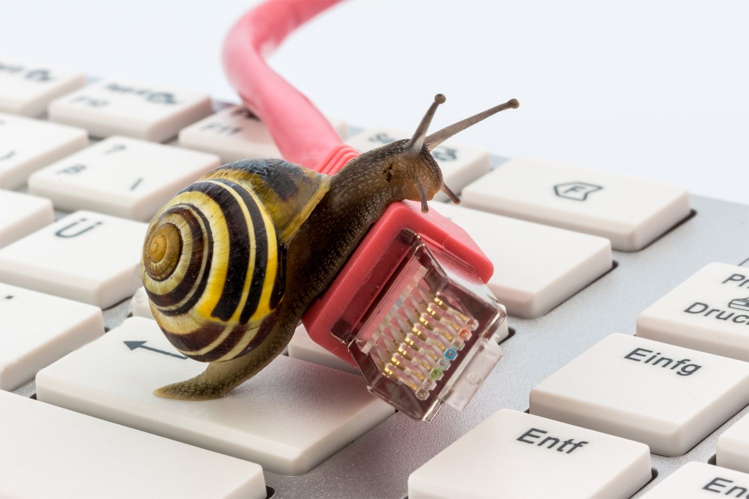 Eine langsame Schnecke auf einer Mac-Tastatur