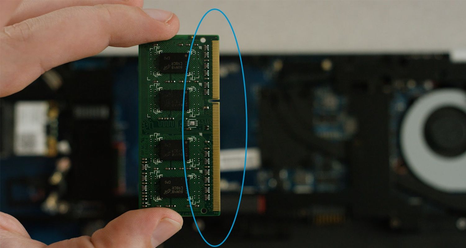 Eine Person hält ein Crucial RAM-Modul mit Goldkontakten (eingekreist)
